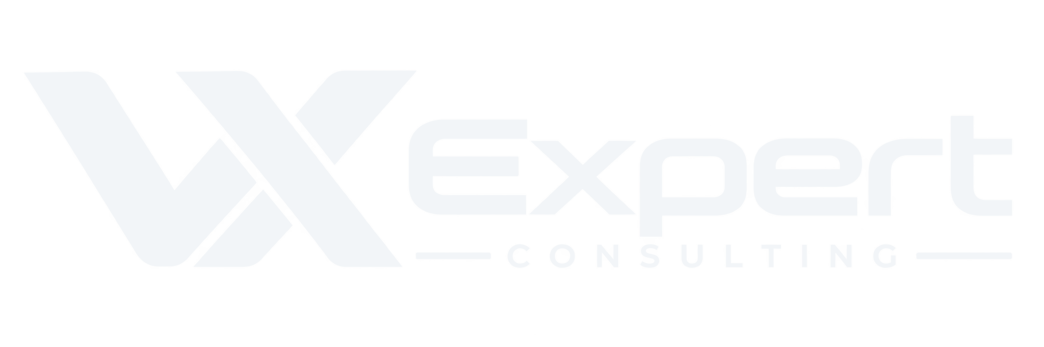 VX Expert Consulting