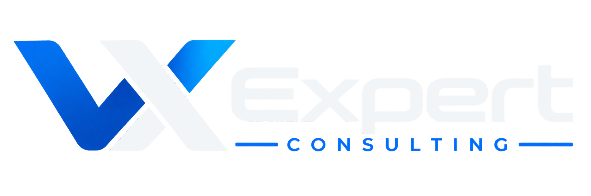 VX Expert Consulting