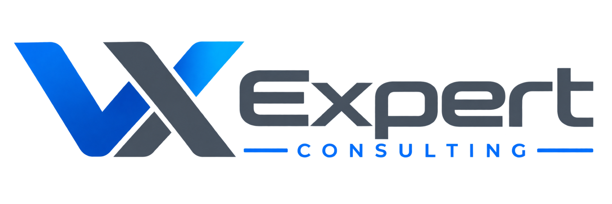 VX Expert Consulting